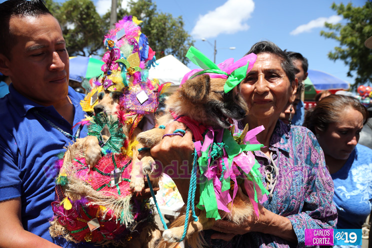 Masaya celebra un a&ntilde;o m&aacute;s a San L&aacute;zaro con el tradicional desfile de mascotas  